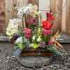 Mixed floral arrangement in a wooden box with orchids and bright tropical blooms