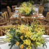 What a sunny combination with green and yellow !  For all