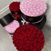 Round boxes filled with red and pink roses