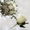 This classic white bridal bouquet and boutonniere package is a timeless choice