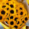 Capture the golden beauty of the harvest season with our breathtaking Autumn