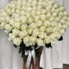 Large bouquet of white roses held in front of a person