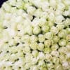 Dense bouquet of white roses against a dark background