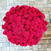 Large round bouquet of red roses
