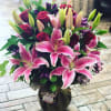 Bouquet of pink lilies and red roses in a dark vase