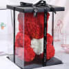 Red rose teddy bear in a clear gift box with a black ribbon