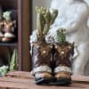 Two Steppin' Succulents brings playful Western charm to a casual gift or