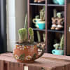 A compact terracotta succulent arrangement that reads like a little sculptural garden