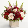 Red and cream roses with burgundy blooms in a wooden box