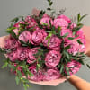 Bouquet of pink roses with green foliage in pink wrapping