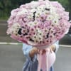 Large bouquet of pink and white daisies wrapped in pink paper