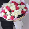 Bouquet of pink and white roses wrapped in pastel paper