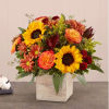 The color and charm of an autumn country harvest inspired our farmhouse-style