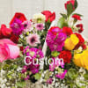 Mixed bouquet of roses, carnations, and daisies with white filler flowers