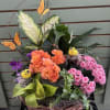 Basket arrangement with orange and pink flowers, butterflies, and small bird nests