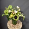 Mixed floral arrangement in a green glass vase with white and green blooms
