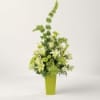Tall green and white flower arrangement in a lime green vase
