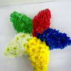 Five colorful chrysanthemum clusters arranged on a white surface.