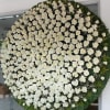 Large circular standing spray of white roses on an easel