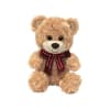 Plush teddy bear with a red ribbon bow