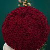 Large round bouquet of red roses held by a person