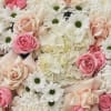 Pink and cream roses with white daisies and hydrangeas in a dense bouquet.