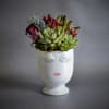 A Celfie Vase filed with succulents. The Container is 5.5 inches in