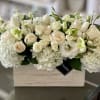 Introducing Giselle - the wooden box of wonders that houses a blooming