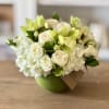 Make your loved ones smile this season with the Pistachio! This 5