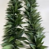 Experience using our handmade fresh double Ti-Leaves Maile Lei, a refined alternative