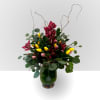 Send a selection of tulips and orchids to welcome someone you care