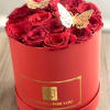 Red roses arranged in a round red box with butterfly decorations