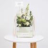 White floral arrangement in a clear gift box with a small card topper