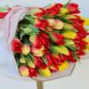 Bouquet of red, yellow, and pink tulips wrapped in pale paper