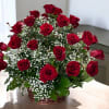 Basket of red roses with white baby's breath
