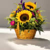 Basket arrangement with sunflowers and purple flowers