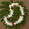 White flower lei on a large green leaf backdrop