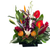 Perfect tropical flowers for your best friend or lover