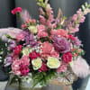 Celebrate a newborn girl and her family in full color with this