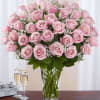Pink roses arranged in a clear glass vase with baby’s breath