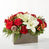 Snowy Wonderland Bouquet
A snowy blend of red and white blooms makes this