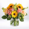 Bright, bold, and full of cheer&mdash;Sunbeam Bloom is a radiant burst of