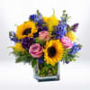 When words fall short, Saffron Meadowlight steps in with warmth and sincerity.
