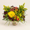 Mixed bouquet with a large yellow gerbera daisy and burgundy roses in a wrapped vase