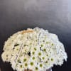 White daisy bouquet in a wicker basket with ribbon bows