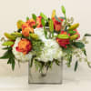 Orange roses and white hydrangeas in a square glass vase