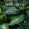 Pick a price point, and our expert designers will create a green