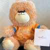 Plush teddy bear wearing a birthday shirt and party hat