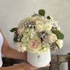 Cream roses and hydrangeas in a white vase with green leaves