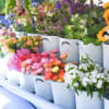 Buckets of colorful cut flowers arranged on a market display